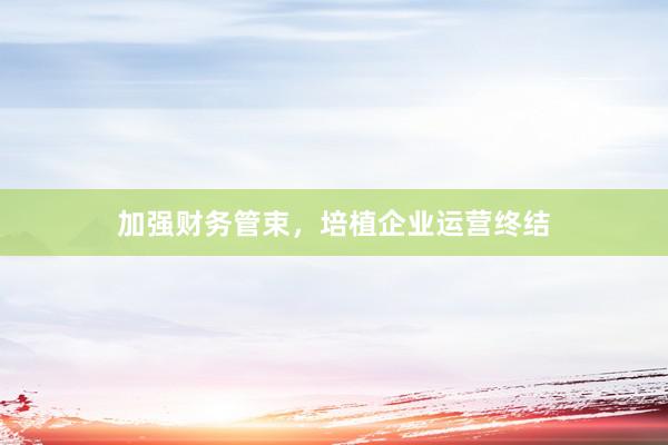 加强财务管束，培植企业运营终结